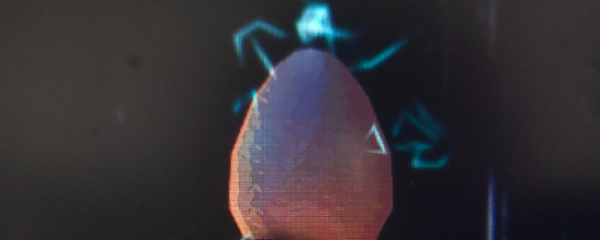 擒牛宝配资 《金垦小镇》雷蛋作用介绍