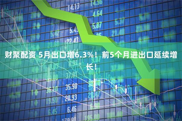 财聚配资 5月出口增6.3%！前5个月进出口延续增长！