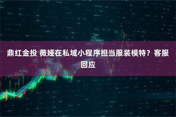 鼎红金投 薇娅在私域小程序担当服装模特？客服回应